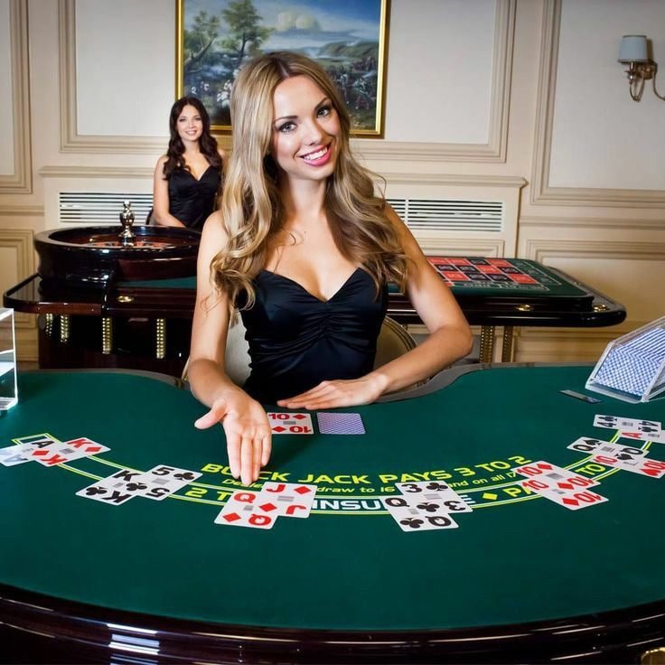 cuciking88 Blackjack Tempat Duduk Maya